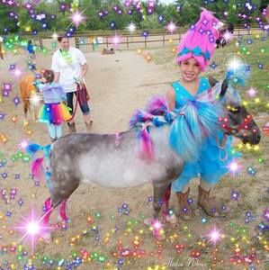 Meet your Posher, Cindy